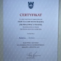 Powiększ obraz: certificate 1