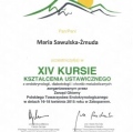 Powiększ obraz: certificate 25