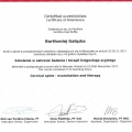 Powiększ obraz: certificate 10