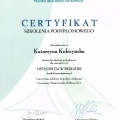 Powiększ obraz: certificate 5