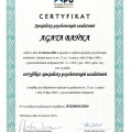 Powiększ obraz: certificate 1