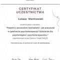 Powiększ obraz: certificate 7