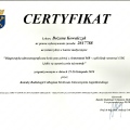 Powiększ obraz: certificate 9