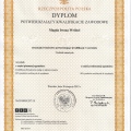 Powiększ obraz: certificate 1