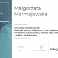 Powiększ obraz: certificate 1