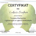 Powiększ obraz: certificate 5