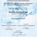 Powiększ obraz: certificate 11
