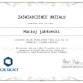 Powiększ obraz: certificate 4