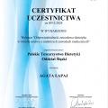 Powiększ obraz: certificate 20