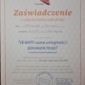 Powiększ obraz: certificate 6