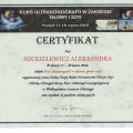 Powiększ obraz: certificate 7