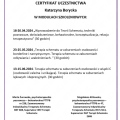 Powiększ obraz: certificate 4