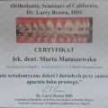 Powiększ obraz: certificate 4