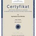 Powiększ obraz: certificate 1