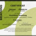 Powiększ obraz: certificate 5