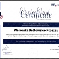 Powiększ obraz: certificate 4
