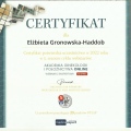 Powiększ obraz: certificate 6