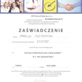 Powiększ obraz: certificate 96