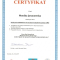Powiększ obraz: certificate 4