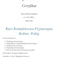 Powiększ obraz: certificate 1