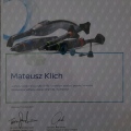 Powiększ obraz: certificate 6