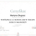 Powiększ obraz: certificate 6