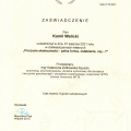 Powiększ obraz: certificate 11