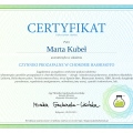 Powiększ obraz: certificate 4
