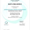Powiększ obraz: certificate 6