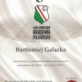 Powiększ obraz: certificate 9