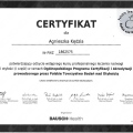 Powiększ obraz: certificate 1