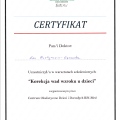 Powiększ obraz: certificate 13