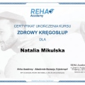 Powiększ obraz: certificate 15