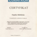 Powiększ obraz: certificate 2