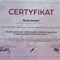 Powiększ obraz: certificate 35