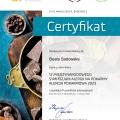 Powiększ obraz: certificate 2