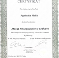 Powiększ obraz: certificate 4