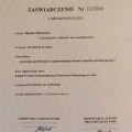 Powiększ obraz: certificate 3