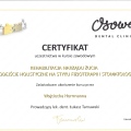 Powiększ obraz: certificate 15