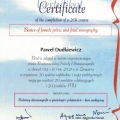 Powiększ obraz: certificate 2