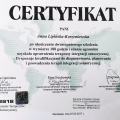 Powiększ obraz: certificate 2