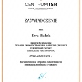 Powiększ obraz: certificate 2