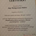 Powiększ obraz: certificate 2