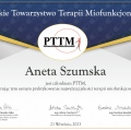 Powiększ obraz: certificate 12
