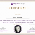 Powiększ obraz: certificate 5
