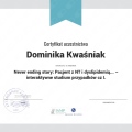 Powiększ obraz: certificate 133