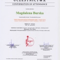 Powiększ obraz: certificate 20