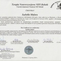 Powiększ obraz: certificate 1