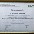 Powiększ obraz: certificate 31