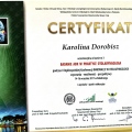 Powiększ obraz: certificate 14
